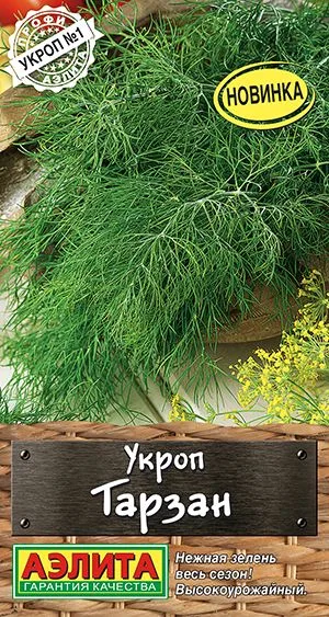 Укроп Тарзан
