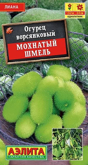 Огурец Мохнатый шмель
