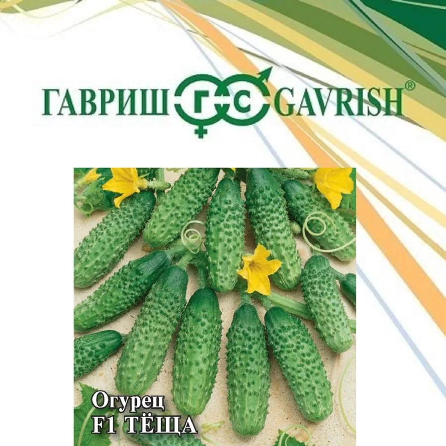 Огурец Теща F1