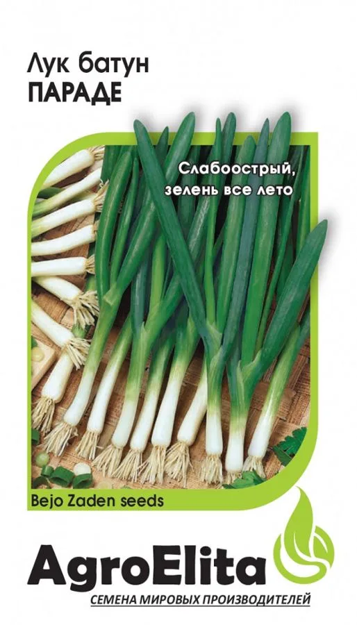 Лук батун Параде