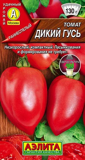 Томат Дикий гусь
