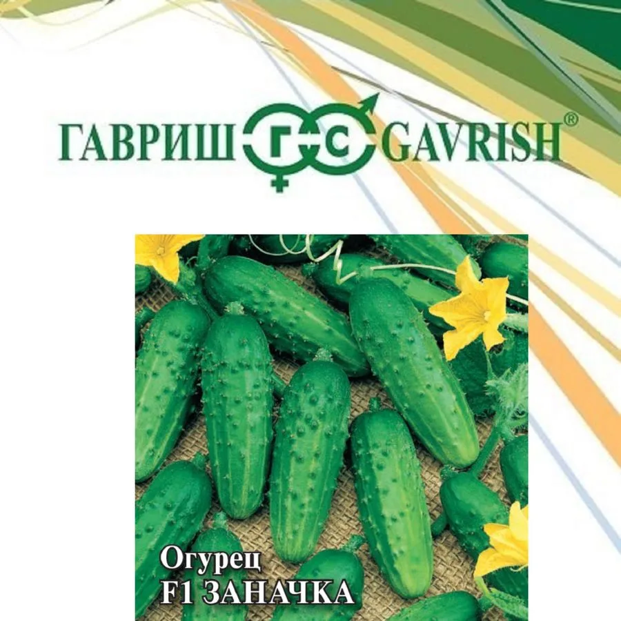 Семена: Огурец Заначка F1