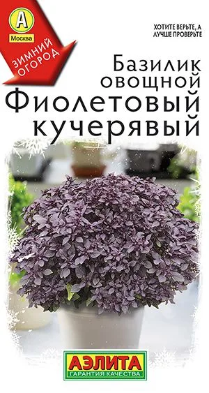 Базилик овощной Фиолетовый кучерявый