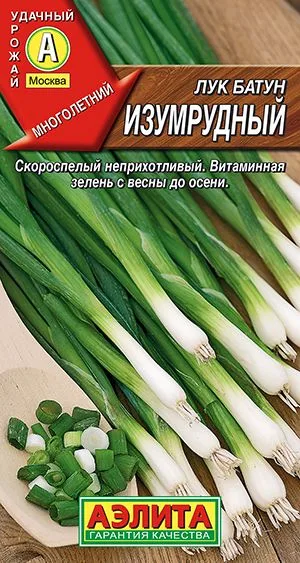 Лук батун Изумрудный