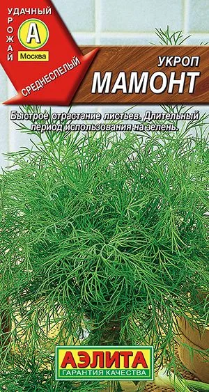 Укроп Мамонт