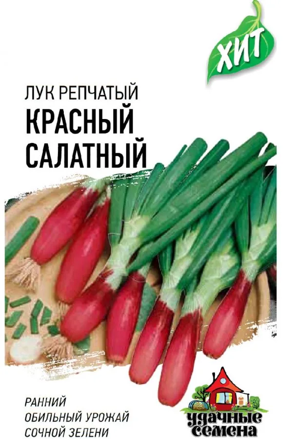 Лук репчатый Красный салатный, на зелень