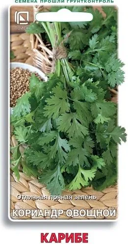 Кинза Кориандр овощной Карибе