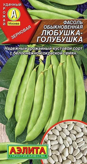 Фасоль обыкновенная Любушка-голубушка