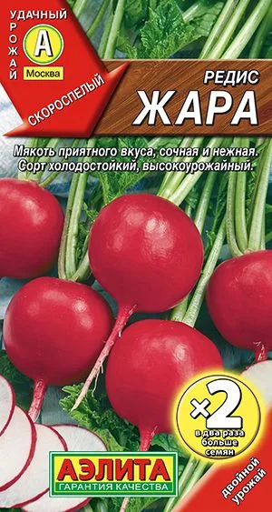 Редис Жара