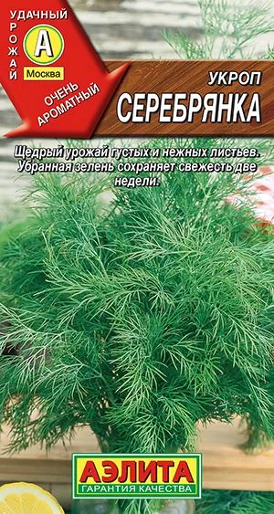Укроп Серебрянка