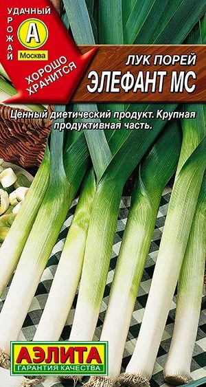 Лук порей Элефант МС