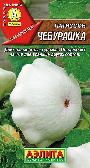 Патиссон Чебурашка