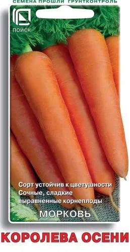 Морковь Королева осени