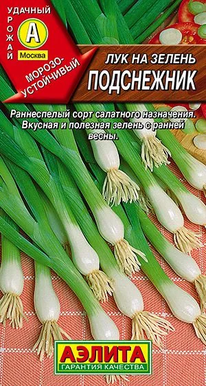 Лук на зелень Подснежник