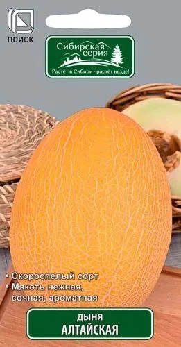 Дыня Алтайская