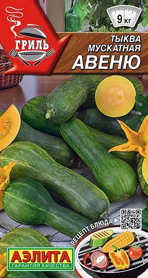 Тыква мускатная Авеню