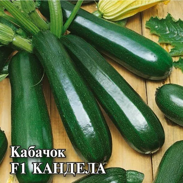 Кабачок Кандела F1