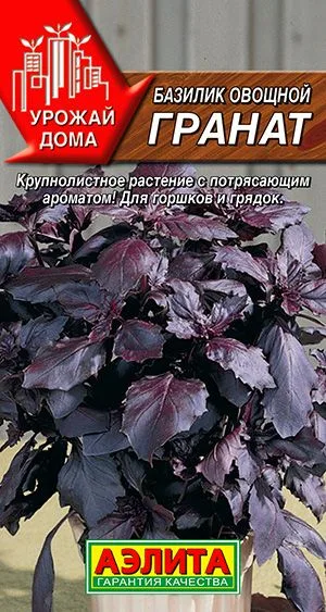 Базилик овощной Гранат