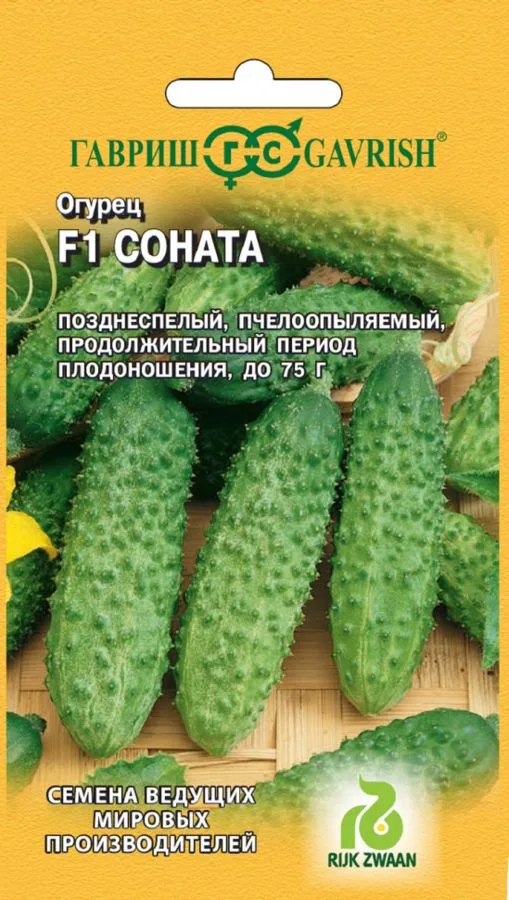 Огурец Соната РЗ F1