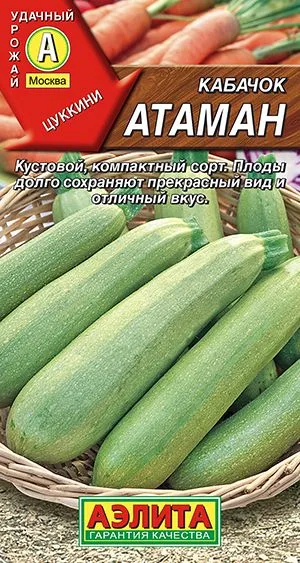 Кабачок цуккини Атаман