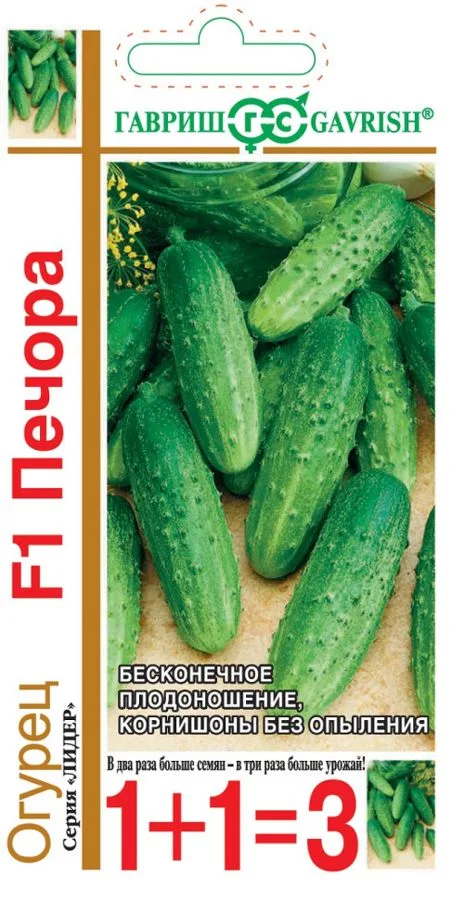 Огурец Печора