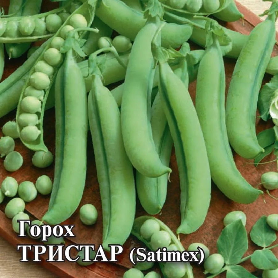 Фасоль Тристар
