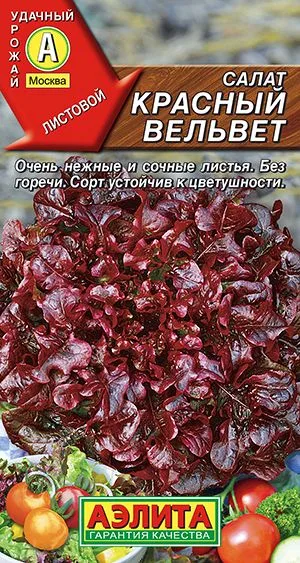 Салат Красный вельвет листовой