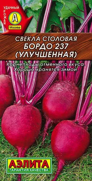 Семена: Свёкла Свекла столовая Бордо 237 (УЛУЧШЕННАЯ)