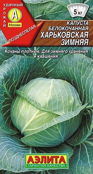 Капуста б/к Харьковская зимняя