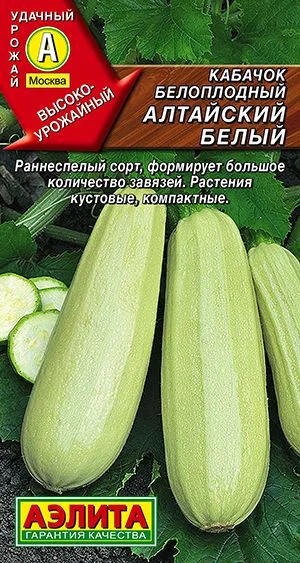Кабачок белоплодный Алтайский белый