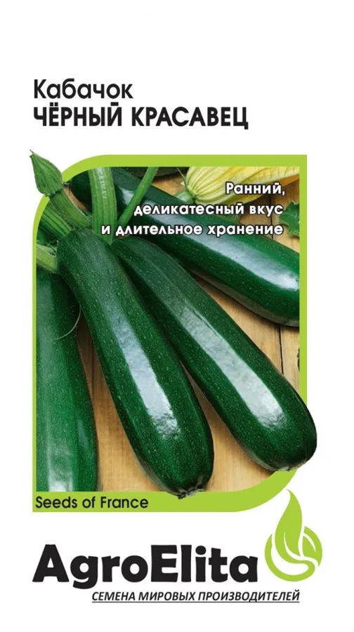 Семена: Кабачок Черный красавец