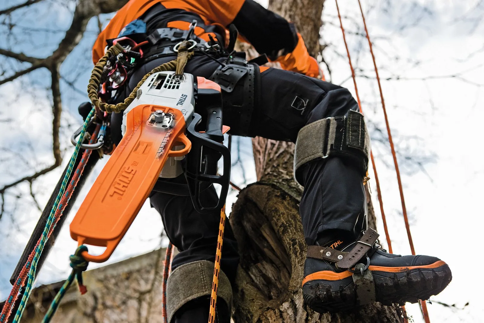 Бензопила STIHL MS 201 TC-M — фото производителя
