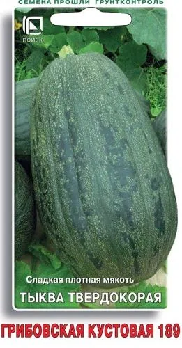 Тыква твердокорая Грибовская кустовая 189
