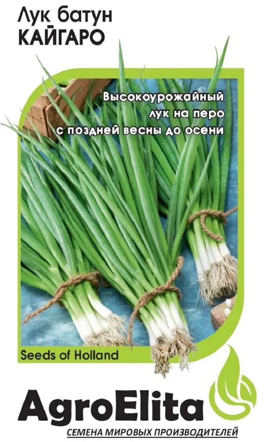 Лук батун Кайгаро