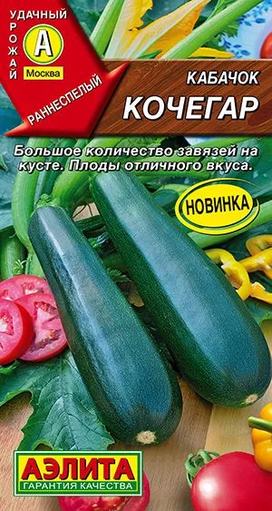 Кабачок цуккини Кочегар