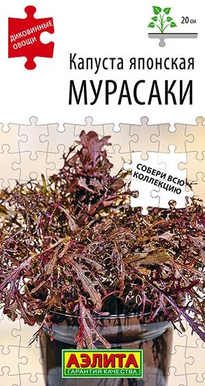 Капуста японская Мурасаки