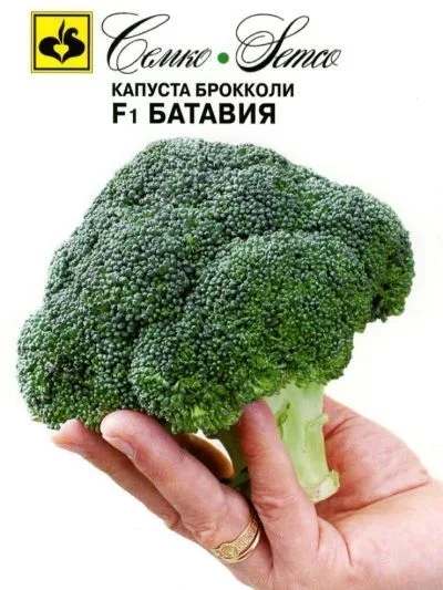 Капуста Батавия F1