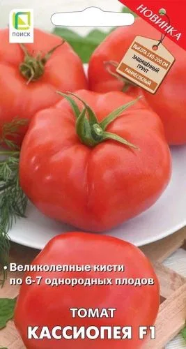 Томат Кассиопея F1