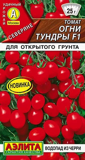 Томат Огни тундры F1