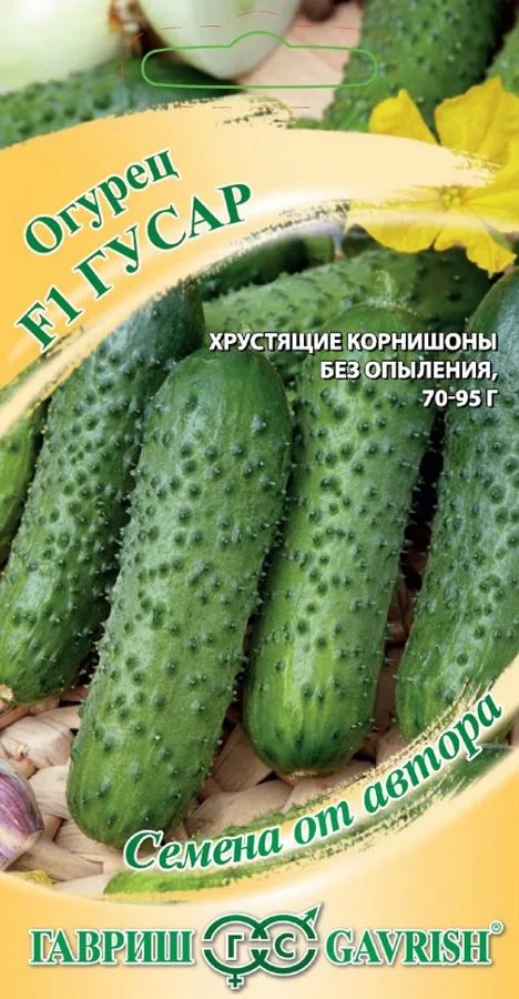 Семена: Огурец Гусар F1