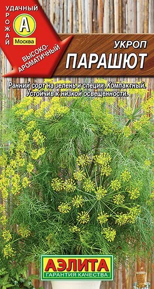 Укроп Парашют