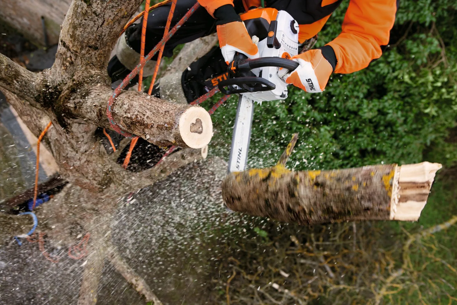 Бензопила STIHL MS 201 TC-M — фото производителя
