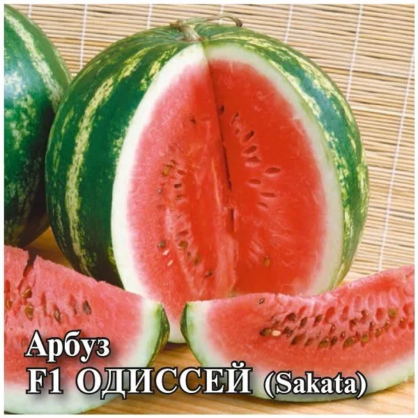 Арбуз Одиссей F1