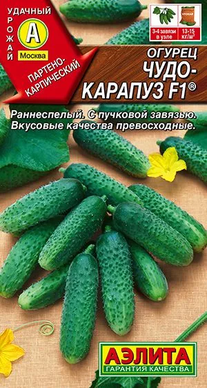 Огурец Чудо-карапуз F1 ®
