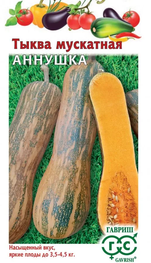 Тыква мускатная Аннушка