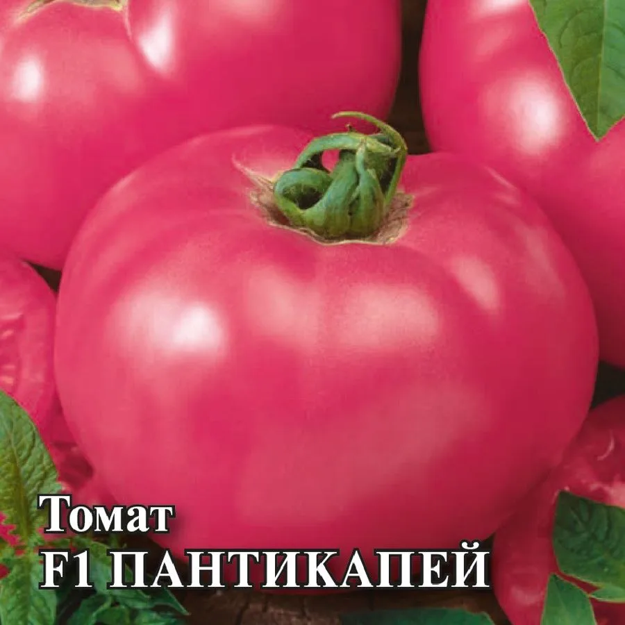 Семена: Томат Пантикапей F1