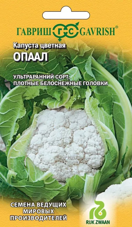 Капуста цветная Опаал