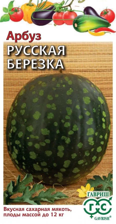 Семена: Арбуз Русская Березка