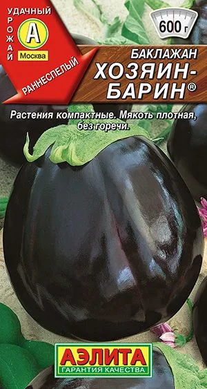 Баклажан Хозяин-барин