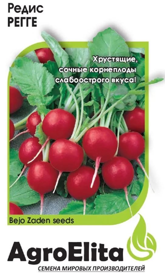 Редис Регге